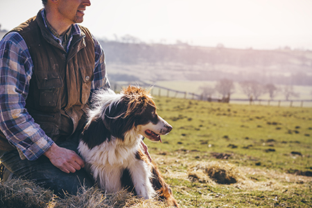 Farmer and Sheep Dog